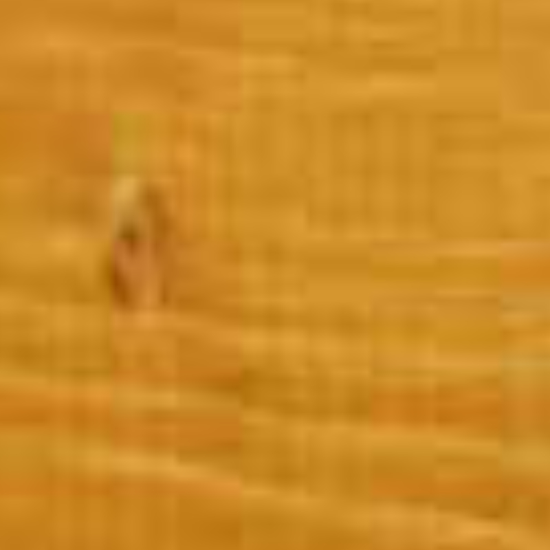 5L Protek Wood Stain & Protector - Gold
